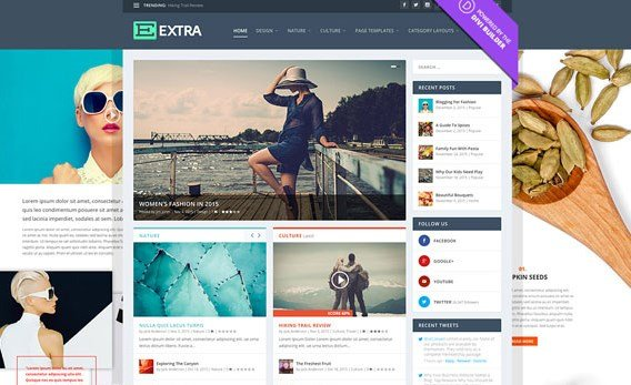ELEGANT THEMES EXTRA WORDPRESS THEME